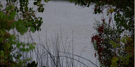 Singing in the vowel of 